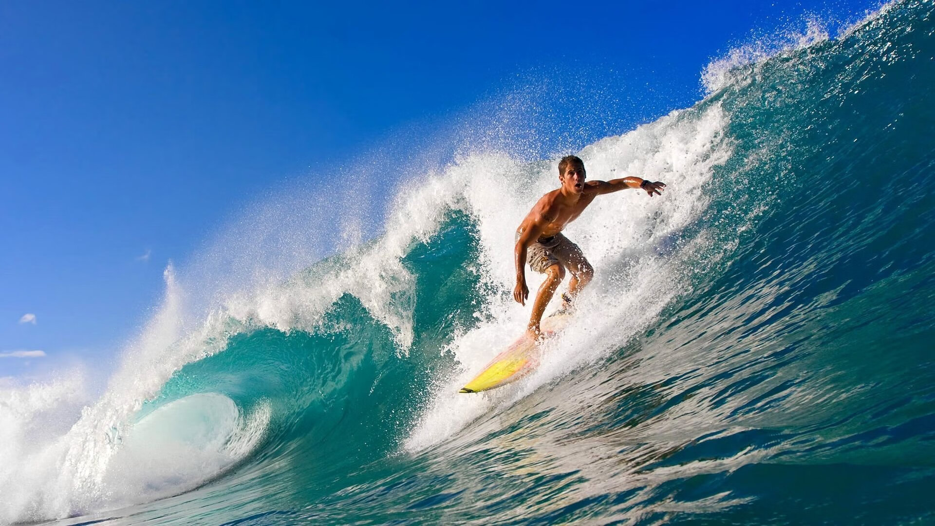 史上最具争议的欧冠判罚盘点,欧冠足球裁判